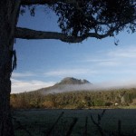 Quamby Bluff, view from Quamby Brook.jpg